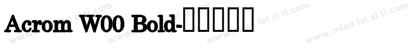 Acrom W00 Bold字体转换